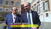 Vespone e la Lega: in Abruzzo è specie protetta