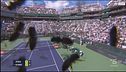 Indian Wells, invasione di api in campo