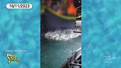 La "favolosa" (e insostenibile?) pesca all'orata