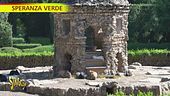 "Speranza Verde" e gli alberi millenari di Valsanzibio