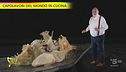 "Capolavori del mondo in cucina": i "Gyoza" di Claudio Farinelli
