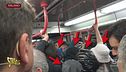 La borseggiatrice è mobile nei giorni del Salone...