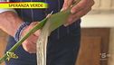 Martano, dove l'aloe vera ha trovato casa
