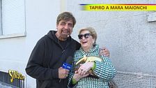 Mara Maionchi, Tapiro per lo scontro con Tiziano Ferro