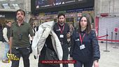 Milano, dopo il Daspo mattutino la borseggiatrice torna in azione