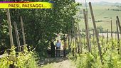 Castell'Arquato. Qui la distillazione dà una seconda vita ai frutti della terra