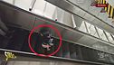 Furti in metro a Roma, Ghione pizzica Madame Scippo