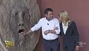 «Salvini fai Pen», si dice così in Francia?