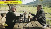 Isola di Capraia. Qui si pratica la tradizione antica della viticoltura