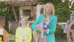 Puntata del 12 novembre