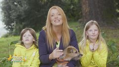 Puntata del 19 novembre