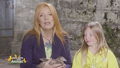 Puntata del 3 dicembre