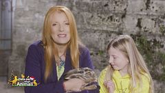 Puntata del 17 dicembre