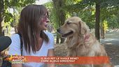 Il suo pet le vuole bene? Come glielo dimostra?