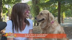 Il suo pet le vuole bene? Come glielo dimostra?