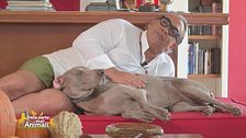 Bimba, la padrona di: Guillermo Mariotto