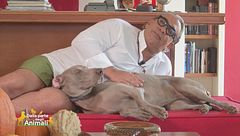 Bimba, la padrona di: Guillermo Mariotto