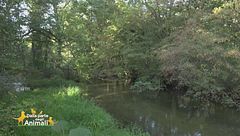 Gli splendidi parchi della Lombardia