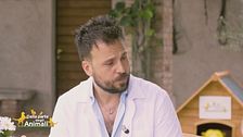 Autunno alle porte per gli amici cani