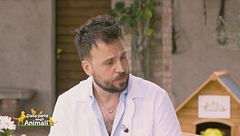 Autunno alle porte per gli amici cani