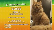 Ritroviamo Ulisse