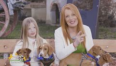 Puntata dell' 11 febbraio