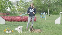 Impariamo divertendoci