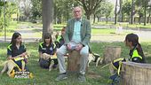 Regione Lombardia: duce occhi per chi non vede, i cani guida dei Lions