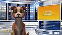 Speedy News