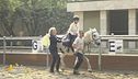Centro di riabilitazione equestre