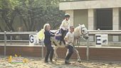 Centro di riabilitazione equestre