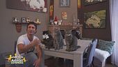 Lino e le sue parodie