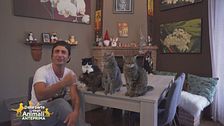 Lino e le sue parodie