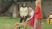 Animali che salvano la vita