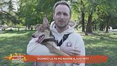 Quando la fa più ridere il suo pet?