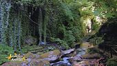 Viaggio in Abruzzo col cane Il parco Nazionale della Maiella