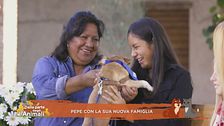 Pepe con la sua nuova famiglia