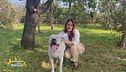 Prendersi cura di cani senza nessuno