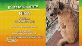 Ritroviamo Nina