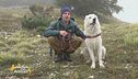Viaggio in Abruzzo col cane: il Parco Nazionale della Maiella