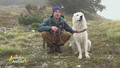 Viaggio in Abruzzo col cane: il Parco Nazionale della Maiella