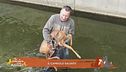 Il capriolo salvato