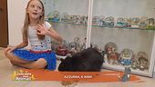 Le domande dei nostri bimbi