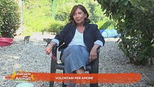 Volontari per amore