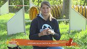 Giocare alla caccia al tesoro