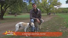 Il posto più amato dal tuo pet
