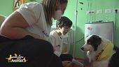 L'amore che cura: la pet therapy