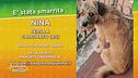 Ritroviamo Nina