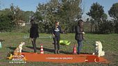 Impariamo divertendoci