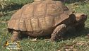 Il centro biodiversità di Fogliano